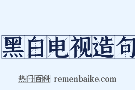 黑白电视造句是什么意思的图片
